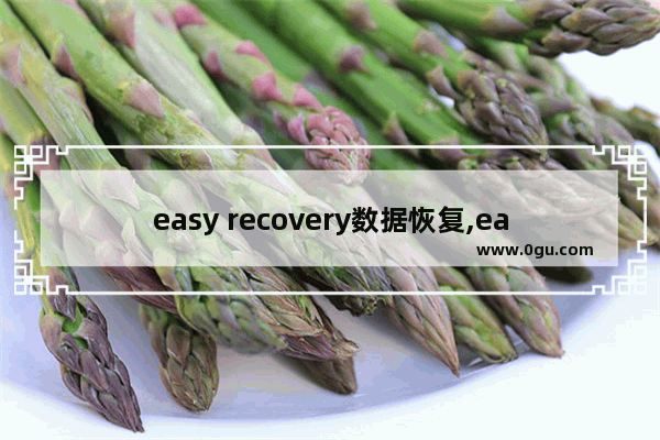 easy recovery数据恢复,easyrecovery怎么恢复文件