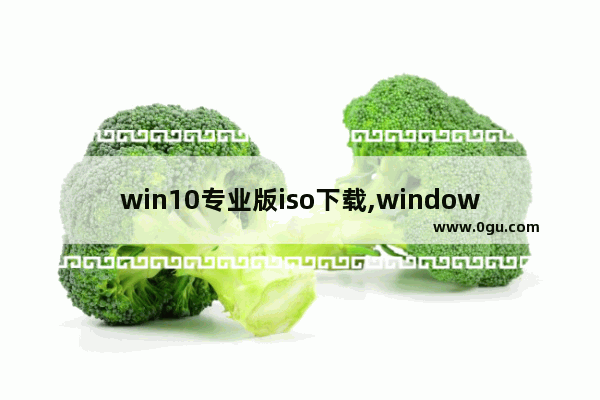 win10专业版iso下载,windows10专业版iso镜像下载
