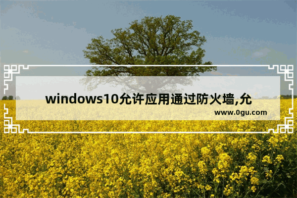 windows10允许应用通过防火墙,允许程序或功能通过Windows防火墙