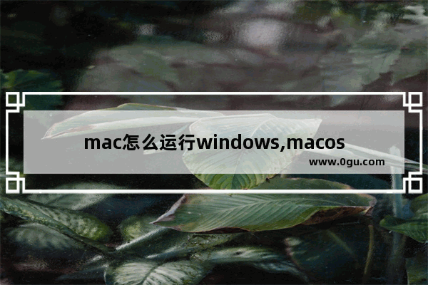 mac怎么运行windows,macos怎么运行windows程序