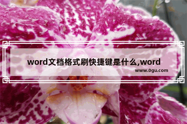 word文档格式刷快捷键是什么,word2010格式刷的快捷键