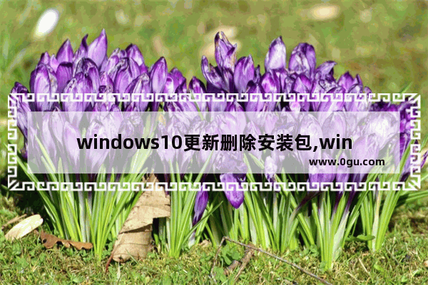 windows10更新删除安装包,windows10更新删除临时文件