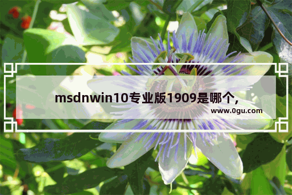 msdnwin10专业版1909是哪个,msdn我告诉你win10哪个是专业版
