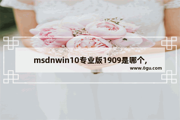 msdnwin10专业版1909是哪个,win10系统版本1909