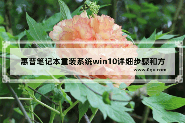 惠普笔记本重装系统win10详细步骤和方法,惠普大白菜装系统教程