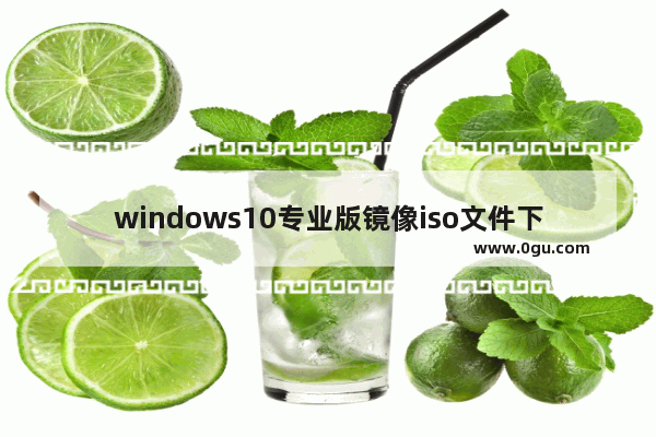 windows10专业版镜像iso文件下载,win10官方原版iso镜像 下载地址 1