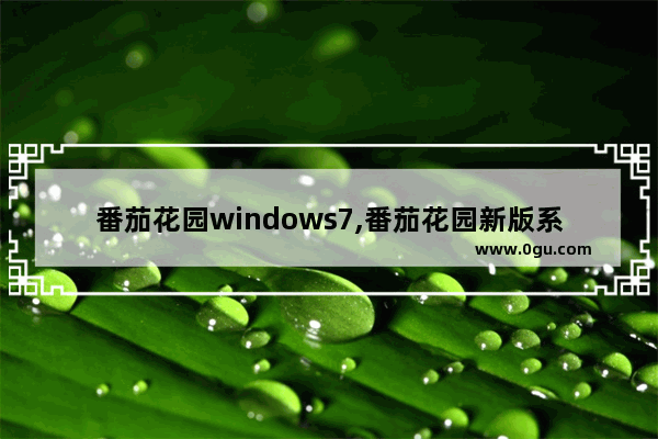 番茄花园windows7,番茄花园新版系统下载