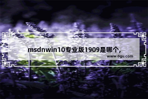 msdnwin10专业版1909是哪个,win10 1909 iso