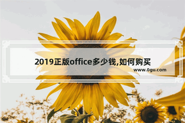 2019正版office多少钱,如何购买正版office2019