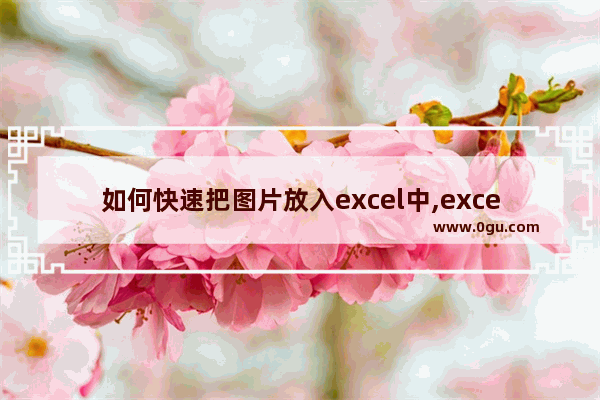 如何快速把图片放入excel中,excel自动调用图片
