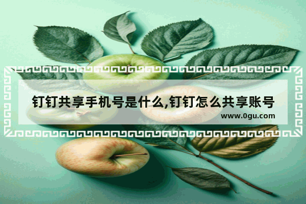 钉钉共享手机号是什么,钉钉怎么共享账号