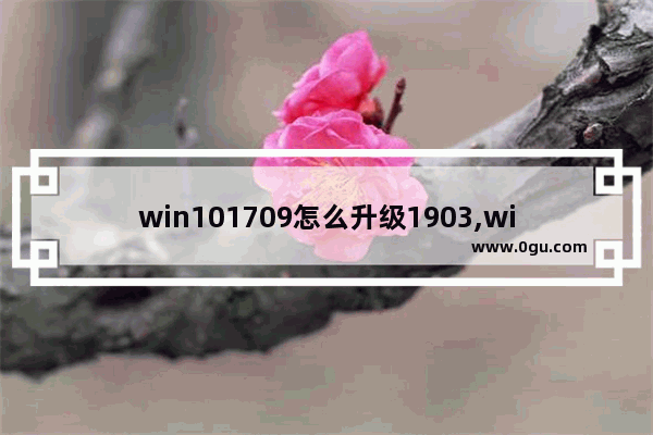 win101709怎么升级1903,win101803怎么更新到1903