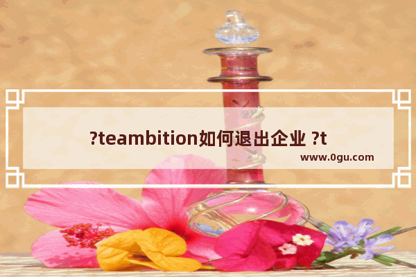 ?teambition如何退出企业 ?teambition退出企业的方法