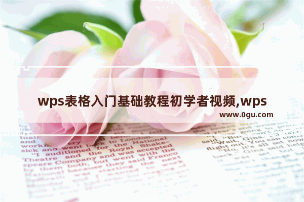 wps表格入门基础教程初学者视频,wps表格使用技巧大全视频