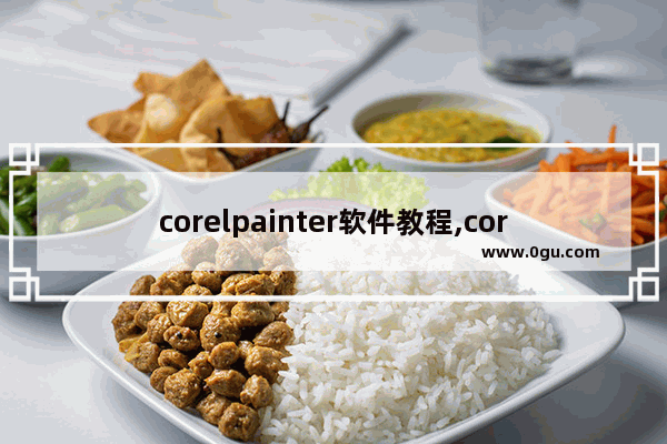 corelpainter软件教程,corel painter2020教程
