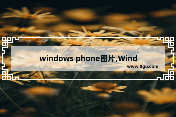 windows phone图片,Windows10照片