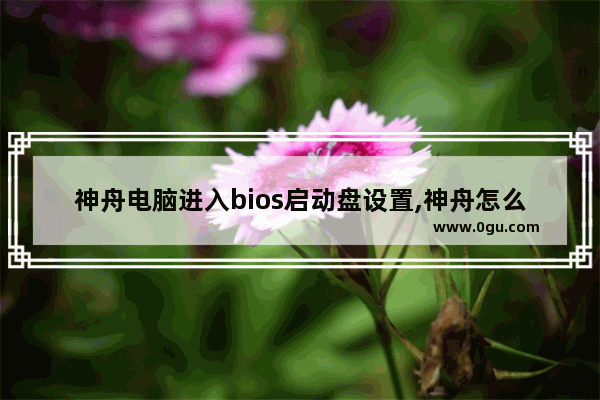 神舟电脑进入bios启动盘设置,神舟怎么进入bios设置u盘启动