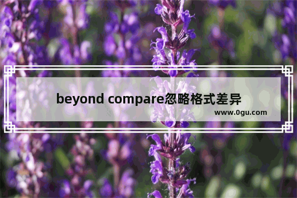 beyond compare忽略格式差异,beyondcompare文本比较部分内容错位