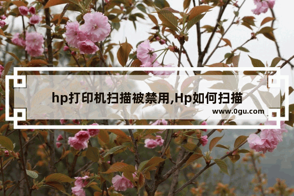 hp打印机扫描被禁用,Hp如何扫描