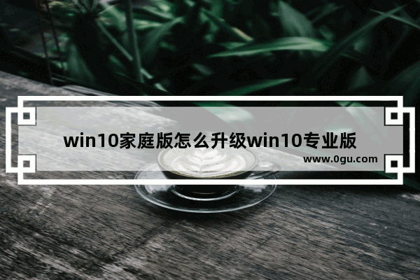 win10家庭版怎么升级win10专业版,windows10家庭版如何升级到专业版