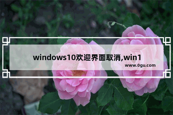 windows10欢迎界面取消,win10一直卡在欢迎界面