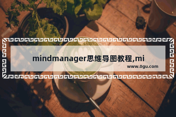 mindmanager思维导图教程,mind master思维导图怎么画流程图