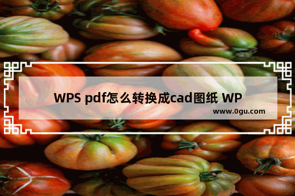 WPS pdf怎么转换成cad图纸 WPS PDF文档转换成CAD图纸的方法
