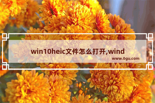 win10heic文件怎么打开,windows打开heic文件