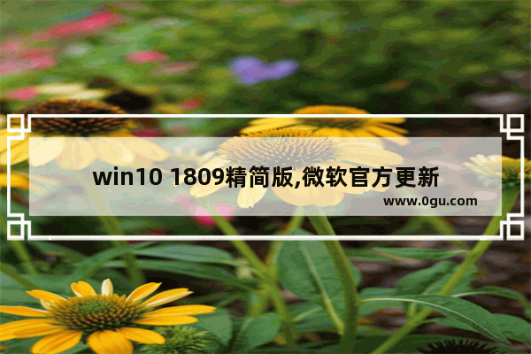 win10 1809精简版,微软官方更新win10