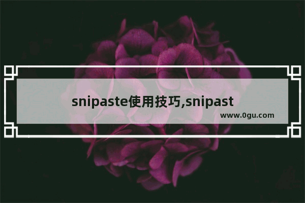 snipaste使用技巧,snipaste如何使用