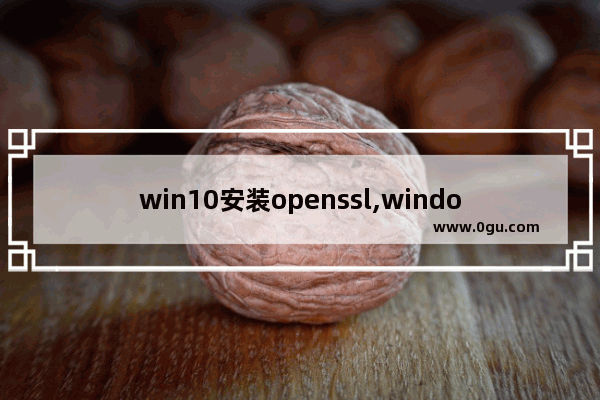win10安装openssl,windows10 openssh
