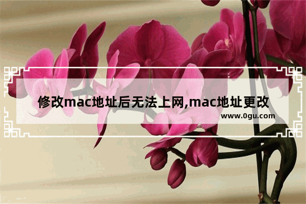 修改mac地址后无法上网,mac地址更改后无法上网