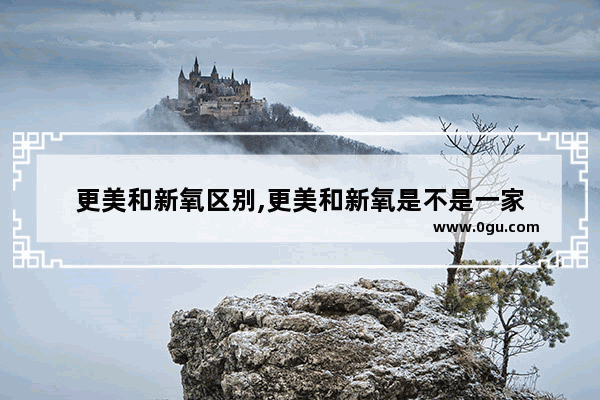 更美和新氧区别,更美和新氧是不是一家