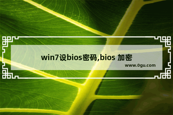 win7设bios密码,bios 加密