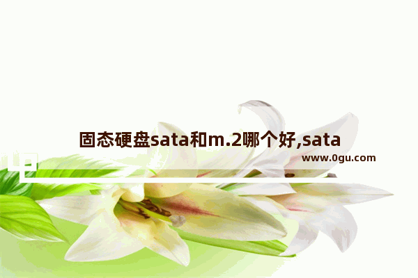 固态硬盘sata和m.2哪个好,sata固态硬盘和m.2固态硬盘区别