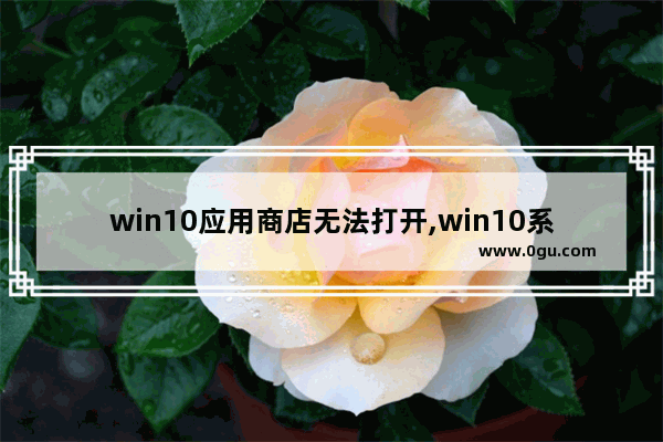 win10应用商店无法打开,win10系统应用商店打不开