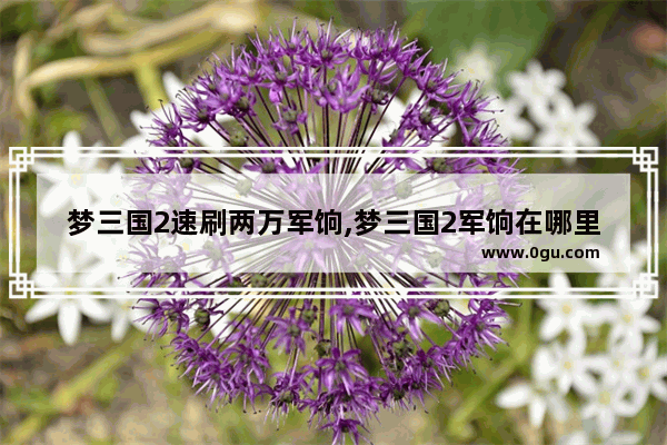 梦三国2速刷两万军饷,梦三国2军饷在哪里换东西 