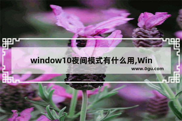 window10夜间模式有什么用,Windows夜间模式
