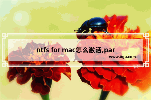 ntfs for mac怎么激活,paragon ntfs for mac试用期已到期