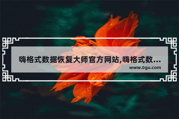 嗨格式数据恢复大师官方网站,嗨格式数据恢复大师电脑版
