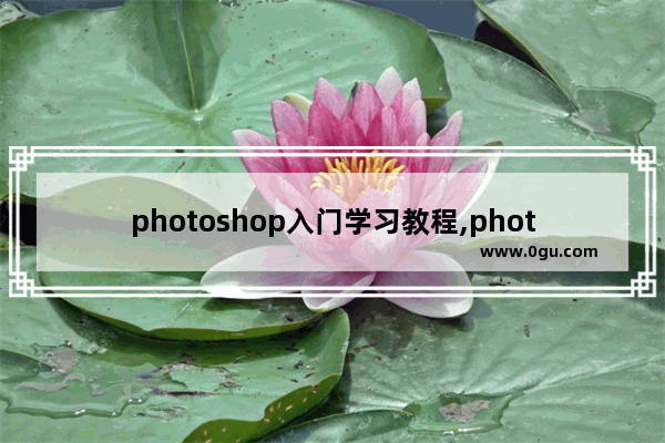 photoshop入门学习教程,photoshop简单教程