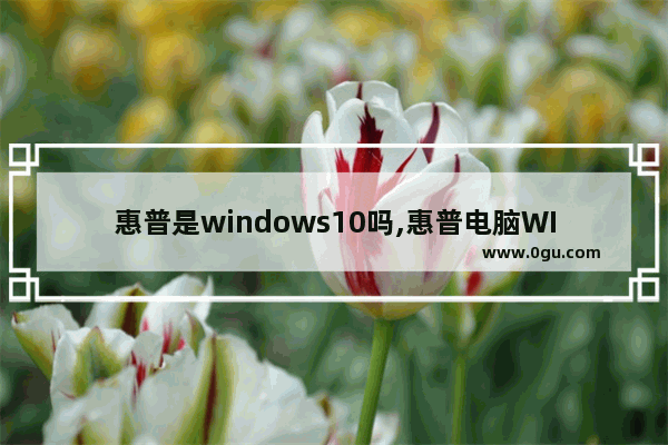 惠普是windows10吗,惠普电脑WINDOWS