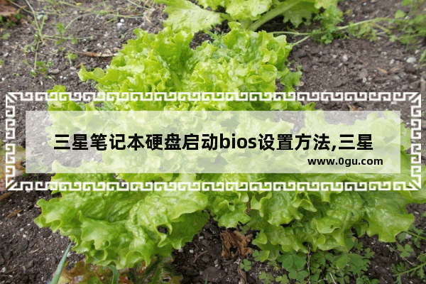 三星笔记本硬盘启动bios设置方法,三星笔记本u盘启动bios设置方法