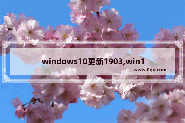 windows10更新1903,win102021更新失败