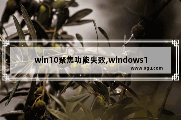 win10聚焦功能失效,windows10聚焦无法使用