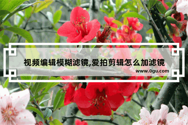 视频编辑模糊滤镜,爱拍剪辑怎么加滤镜