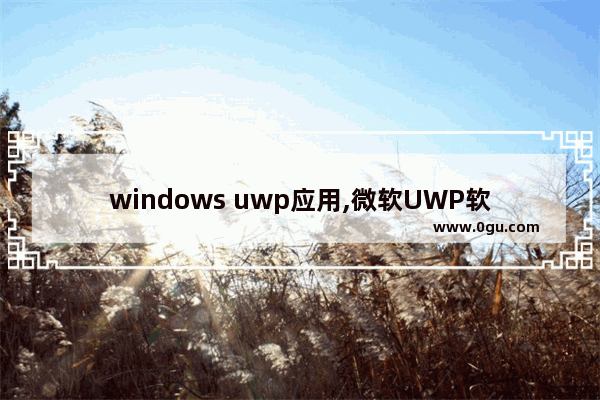 windows uwp应用,微软UWP软件有哪些