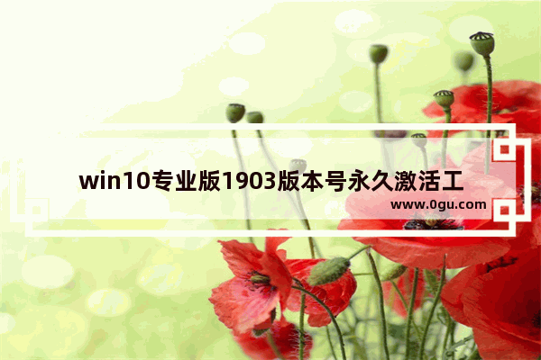 win10专业版1903版本号永久激活工具,win10 1903 激活