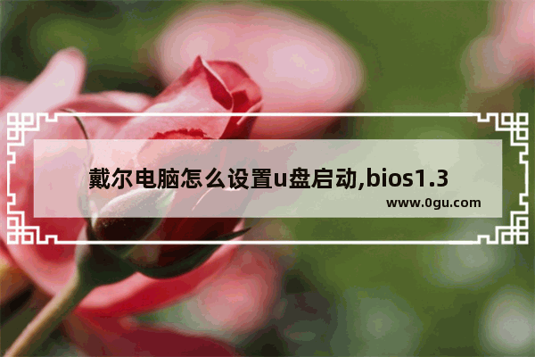 戴尔电脑怎么设置u盘启动,bios1.3.1戴尔latitude设置u盘启动