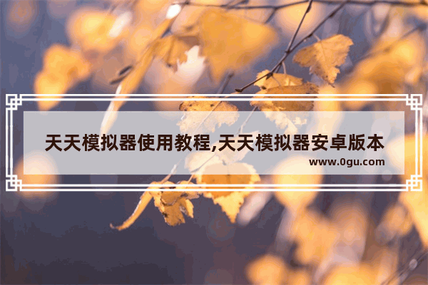 天天模拟器使用教程,天天模拟器安卓版本